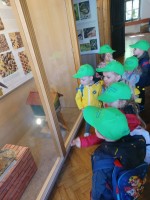 /album/fotogaleria-enviracik/20220428-105016-jpg/